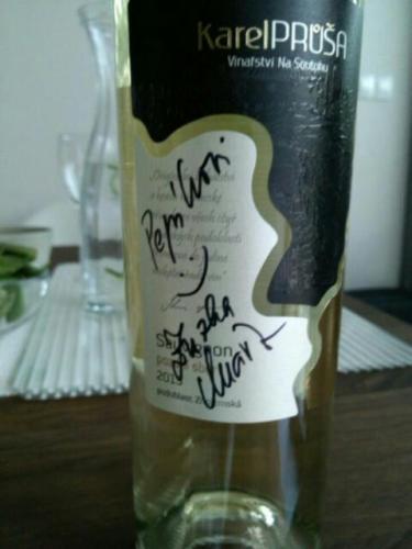 Pozdní Sběr Sauvignon