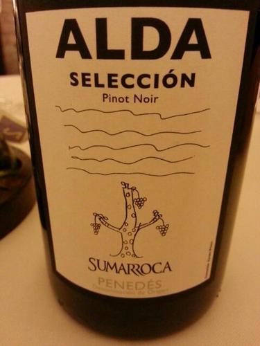 Alda Seleccion Penedes Pinot Noir