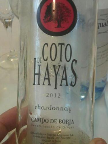 Coto de Hayas Chardonnay