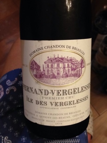 Domaine Chandon de Briailles Ile des Vergelesses Pernand-Vergelesses Premier Cru