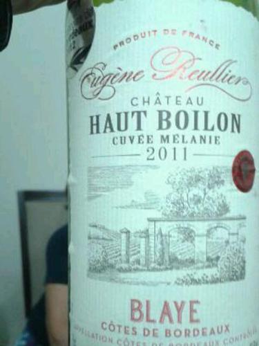 Chateau Haut Boilon Cuvée Melanie Blaye Côtes de Bordeaux