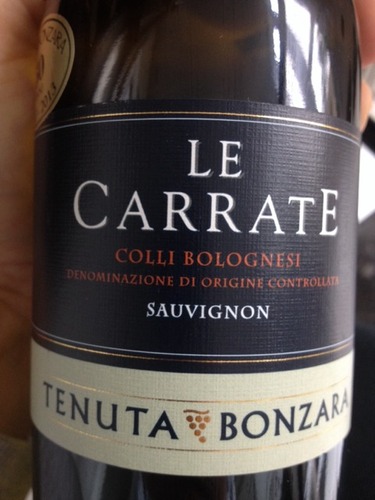 Le Carrate Colli Bolognesi Superiore Sauvignon