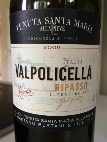 Di Gaetano Bertani Valpolicella Ripasso Superiore