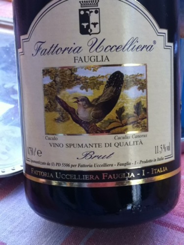 Fauglia Brut