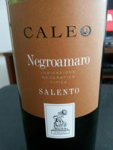 卡利奥黑曼罗干红Caleo Salento Negroamaro