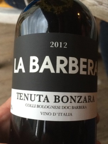 Colli Bolognesi La Barbera