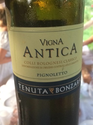 Vigna Antica Pignoletto