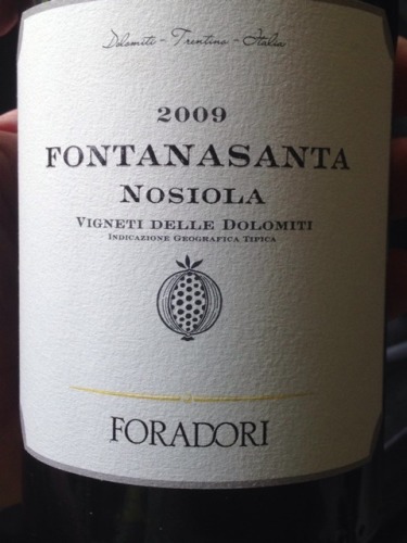 Fontanasanta Vigneti Delle Dolomiti Manzoni Bianco