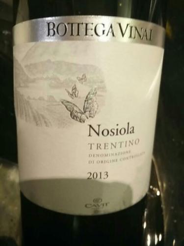 Bottega Vinai Trentino Nosiola