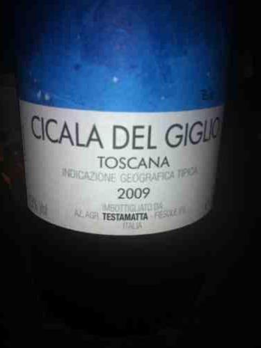 Toscana Cicala Del Giglio