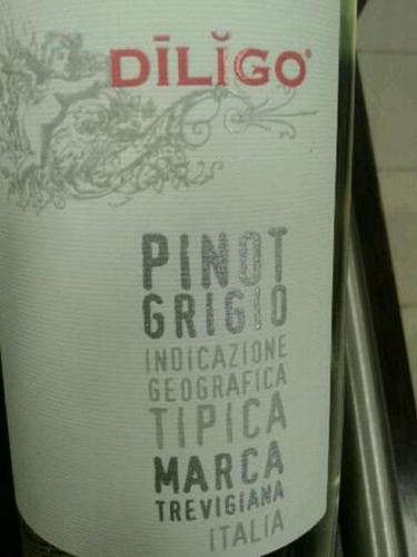 Spinato Diligo Tipica Marca Trevigiana Pinot Grigio