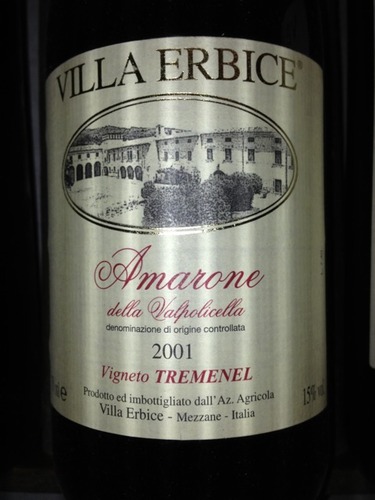 Tremenel Amarone della Valpolicella