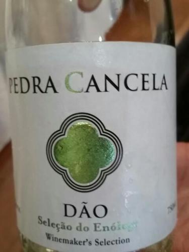 Winemaker's Selection Selecção do Enólogo Dão