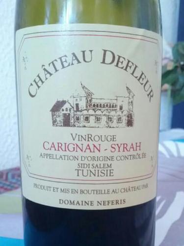 Chateau Defleur Carignan Syrah