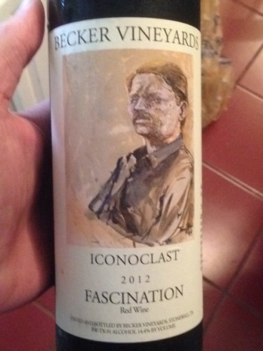 Iconoclast Fascination