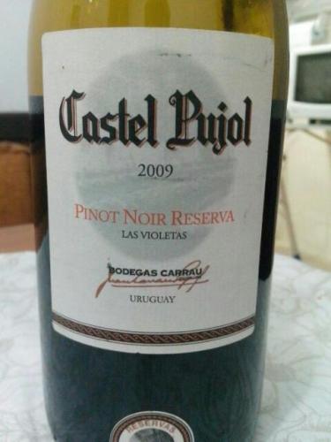 Castel Pujol Las Violetas Reserva Cabernet